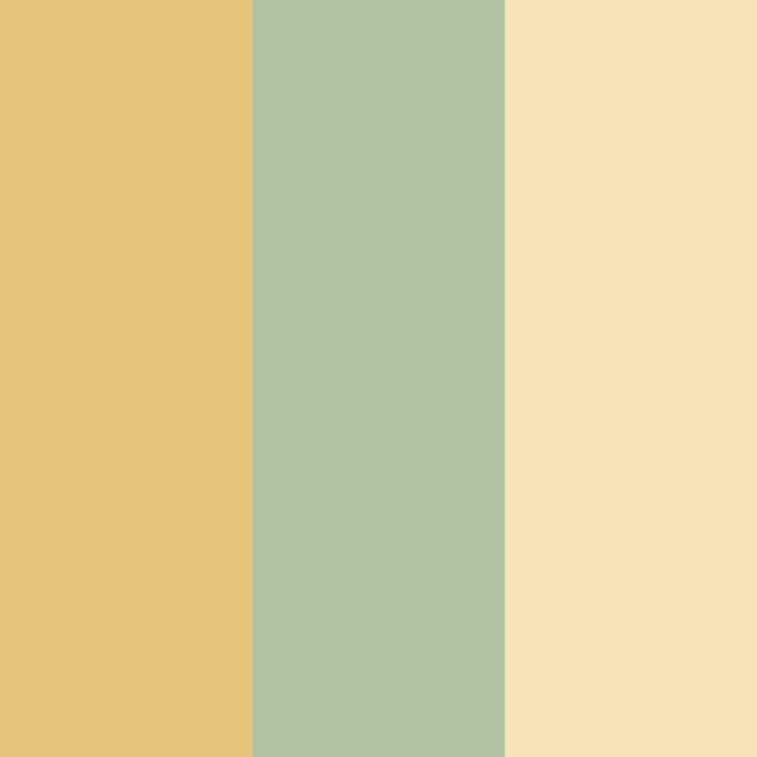 Download warm amber green color palette PNG image (square)