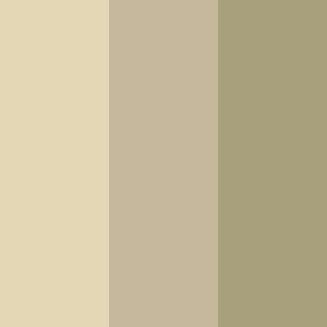 Download warm beige color palette PNG image (square)
