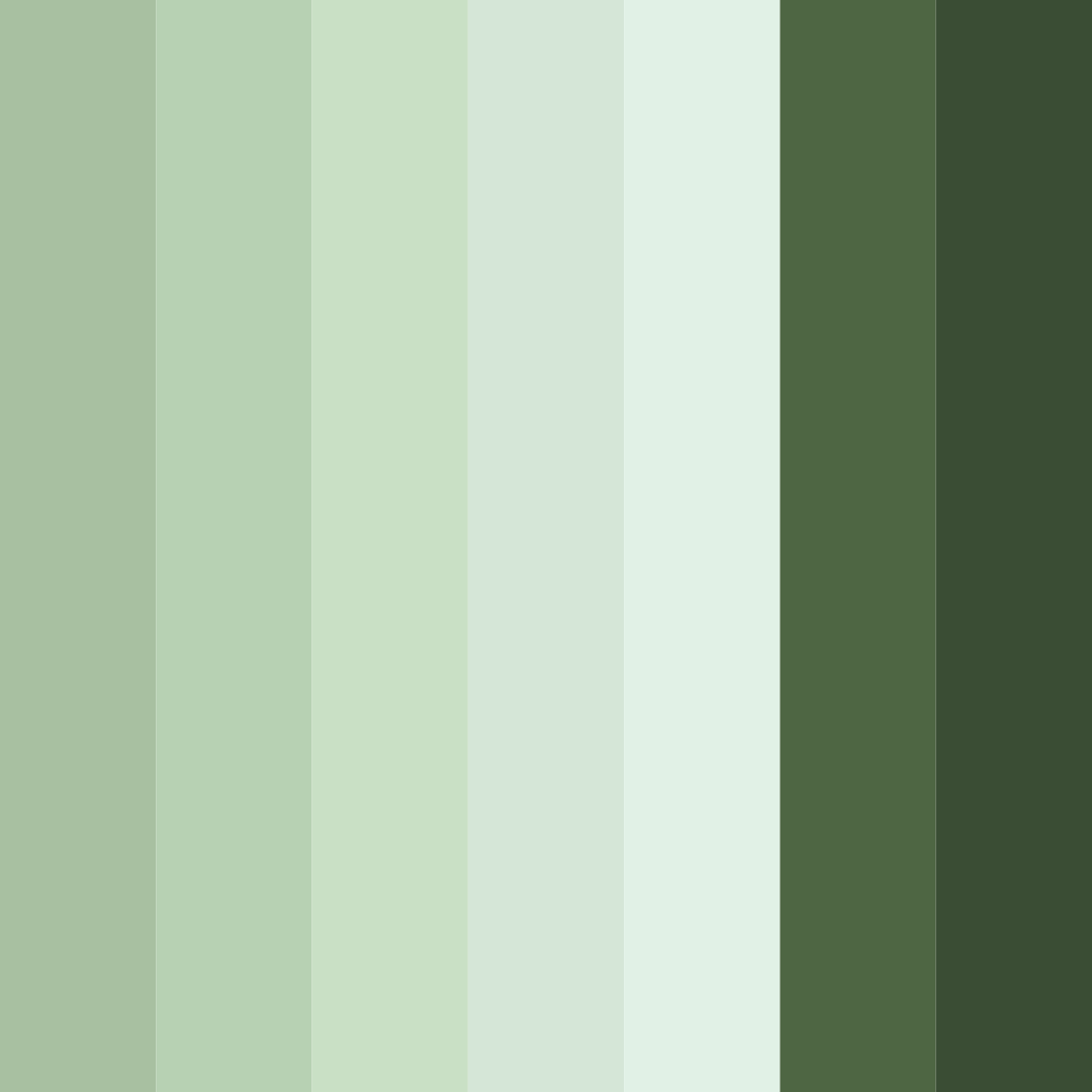 Download whispering forest color palette PNG image (square)