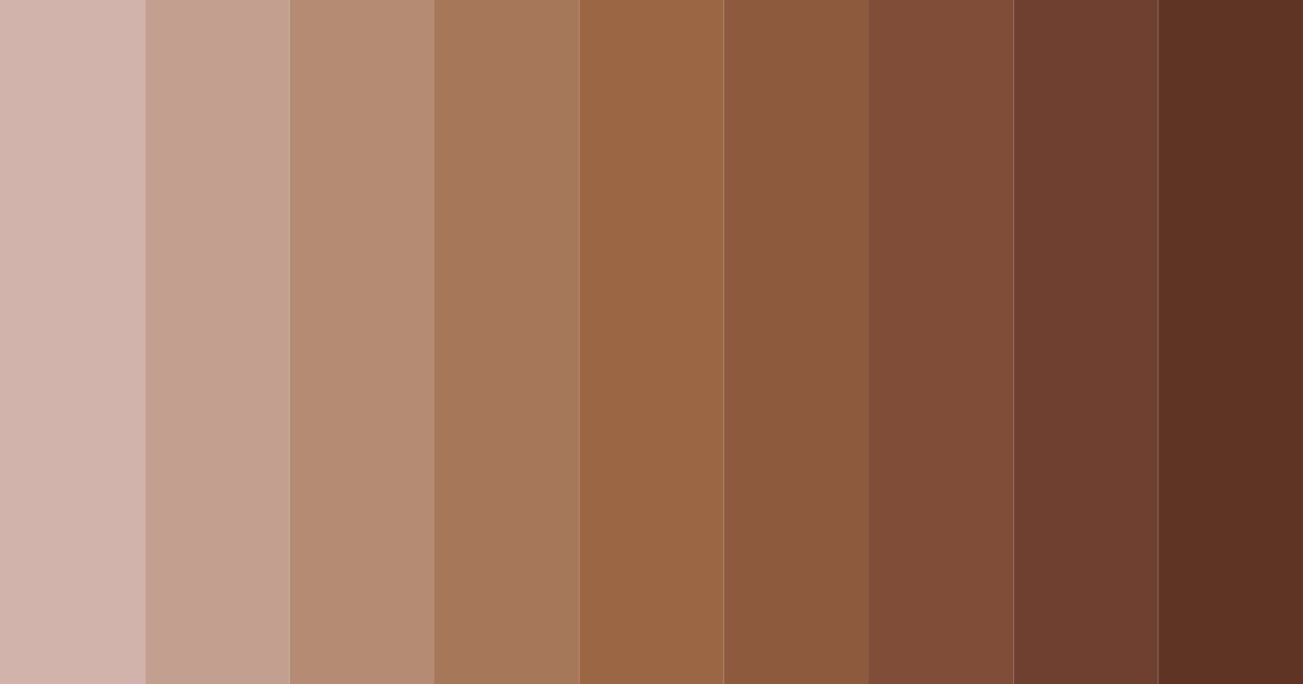 Download brown shades color palette PNG image (landscape)