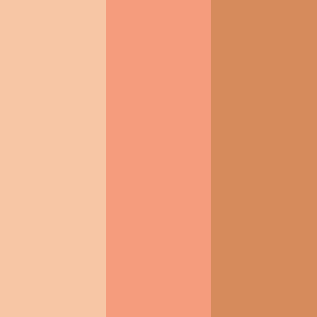 Download peachy shades color palette PNG image (square)