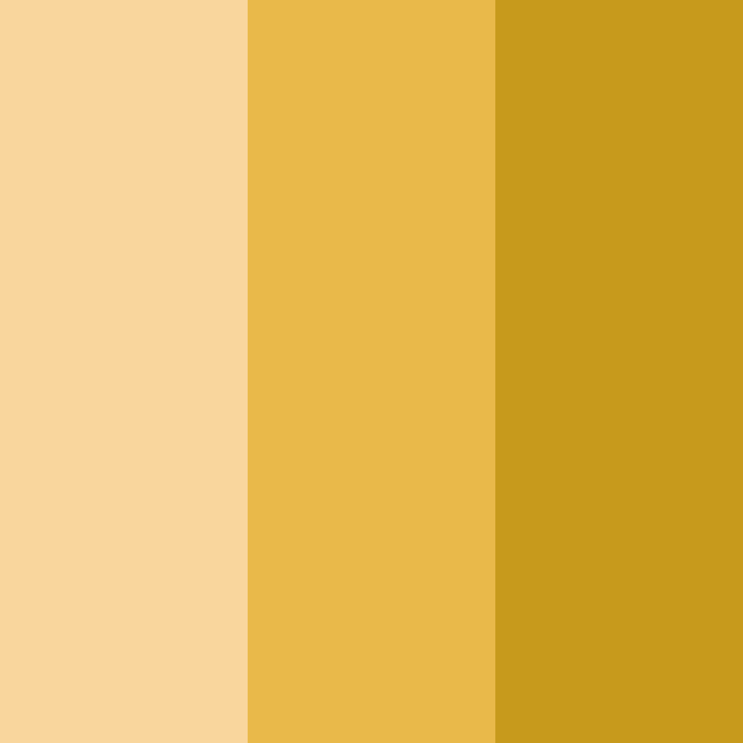 Download amber whisper color palette PNG image (square)