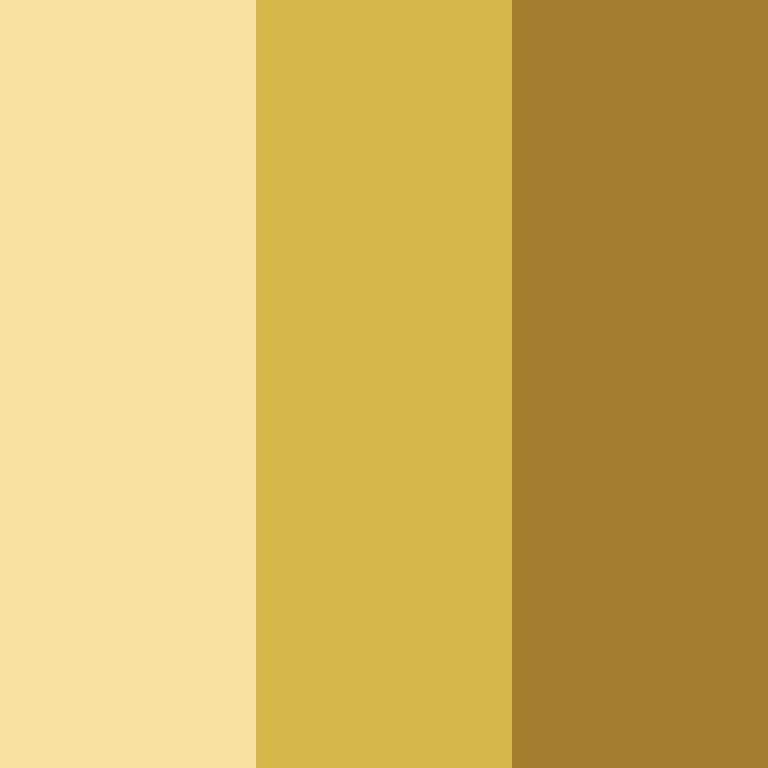 Download muted gold color palette PNG image (square)