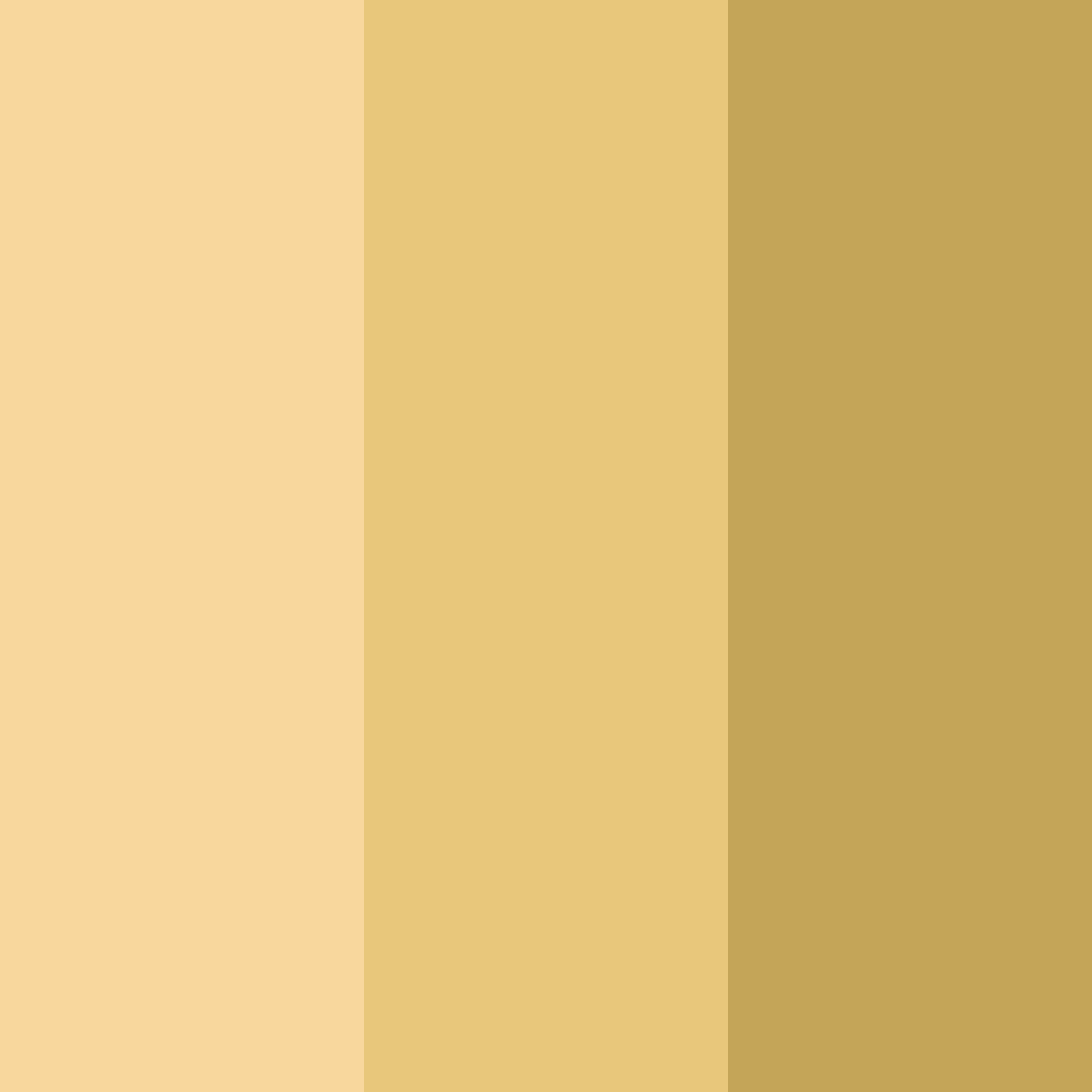 Download golden embrace color palette PNG image (square)