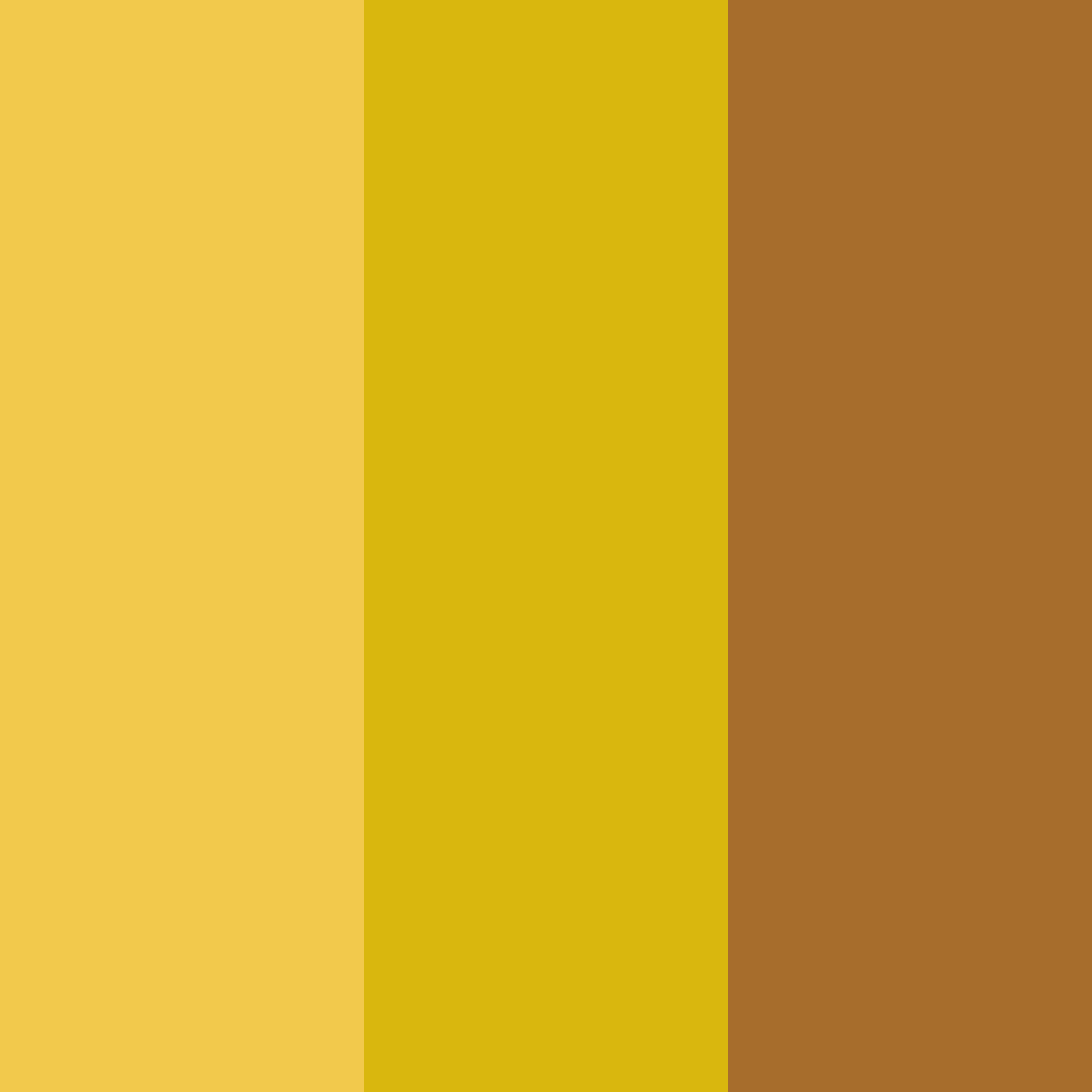Download amber embrace color palette PNG image (square)