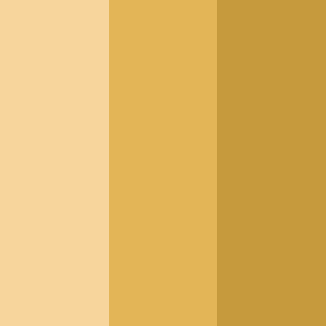 Download muted gold color palette PNG image (square)
