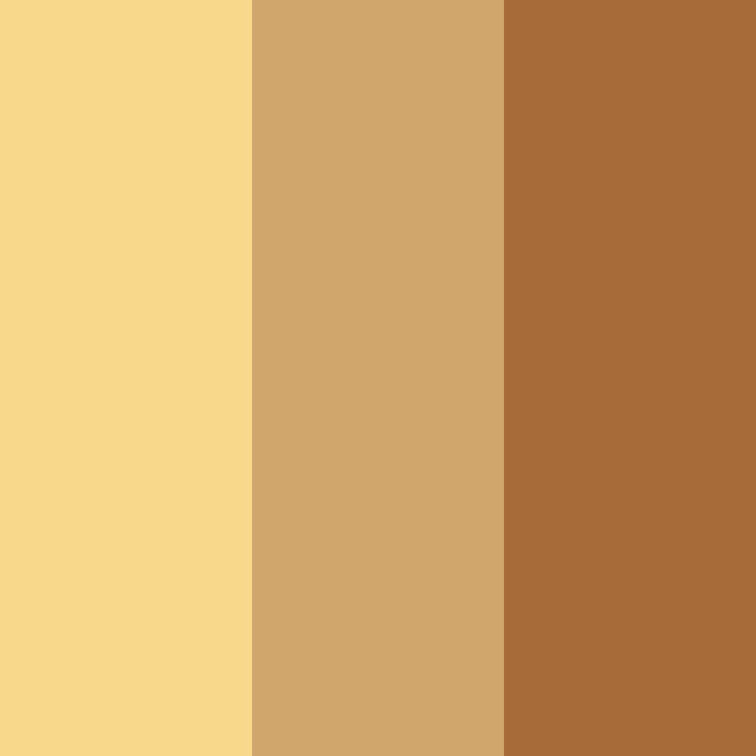 Download amber elegance color palette PNG image (square)