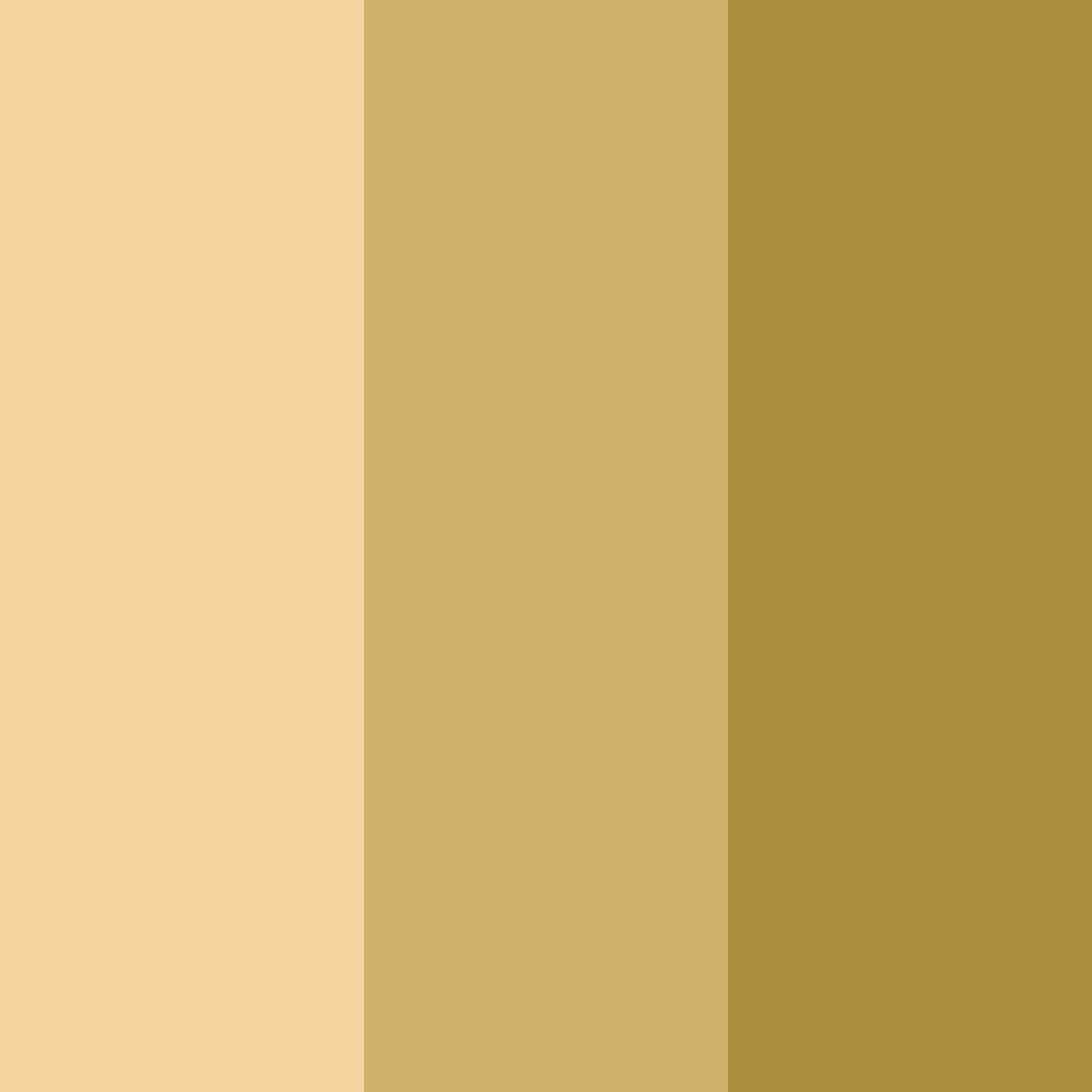 Download muted gold color palette PNG image (square)