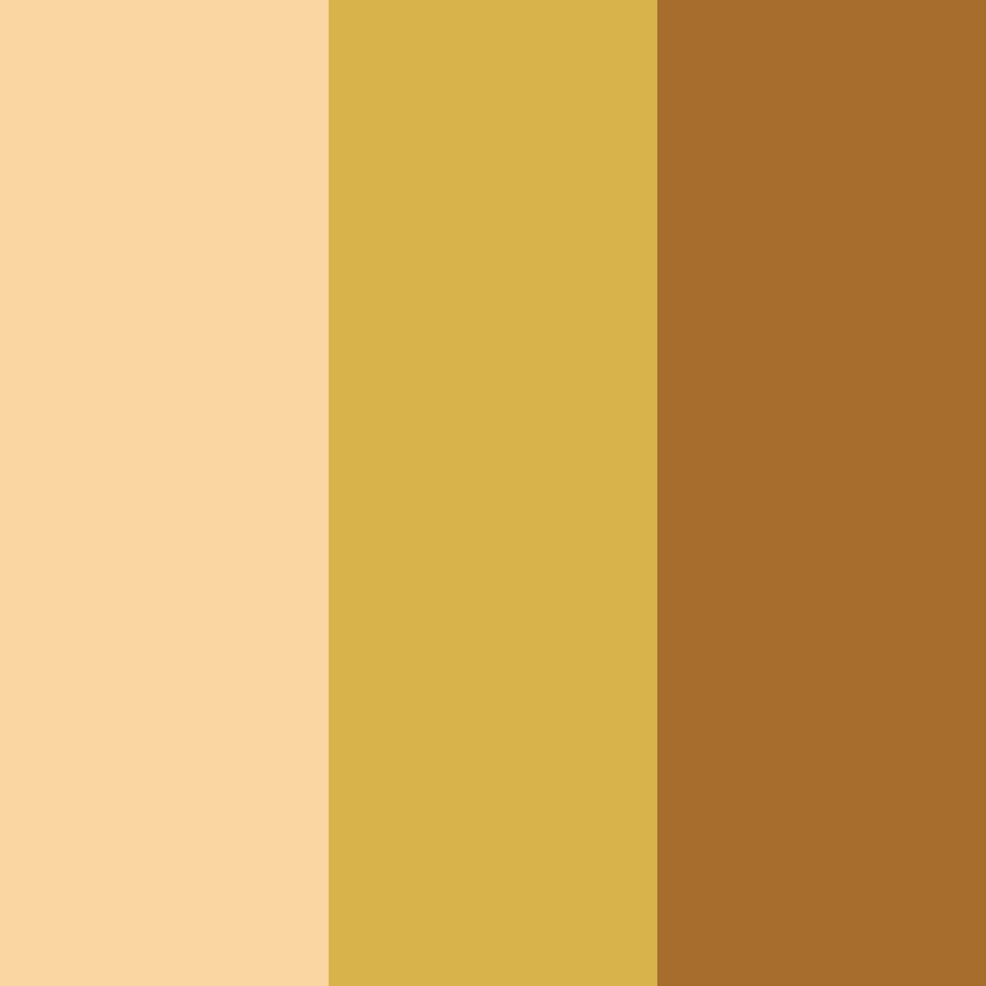 Download amber hues color palette PNG image (square)