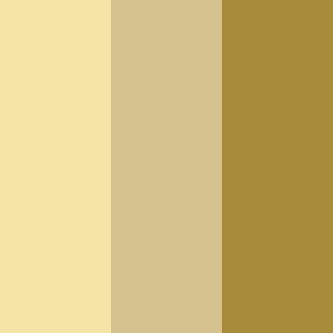 Download amber glow color palette PNG image (square)