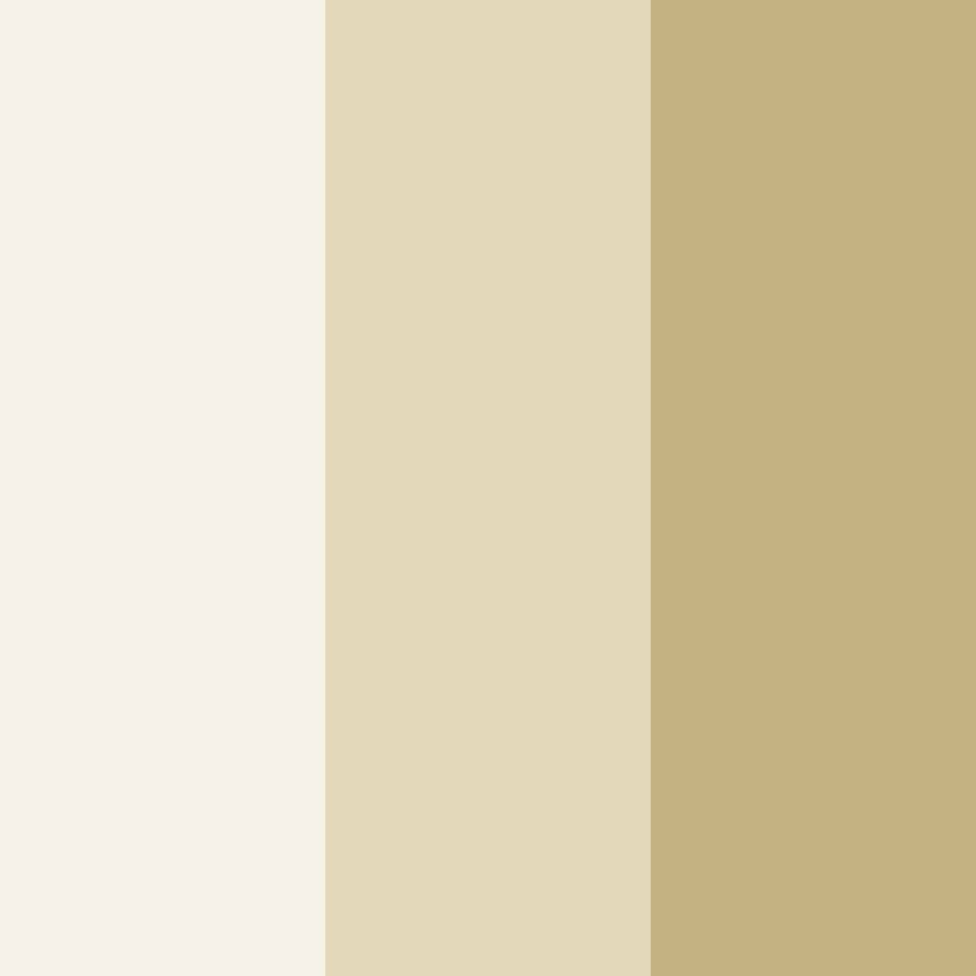 Download beige elegance color palette PNG image (square)