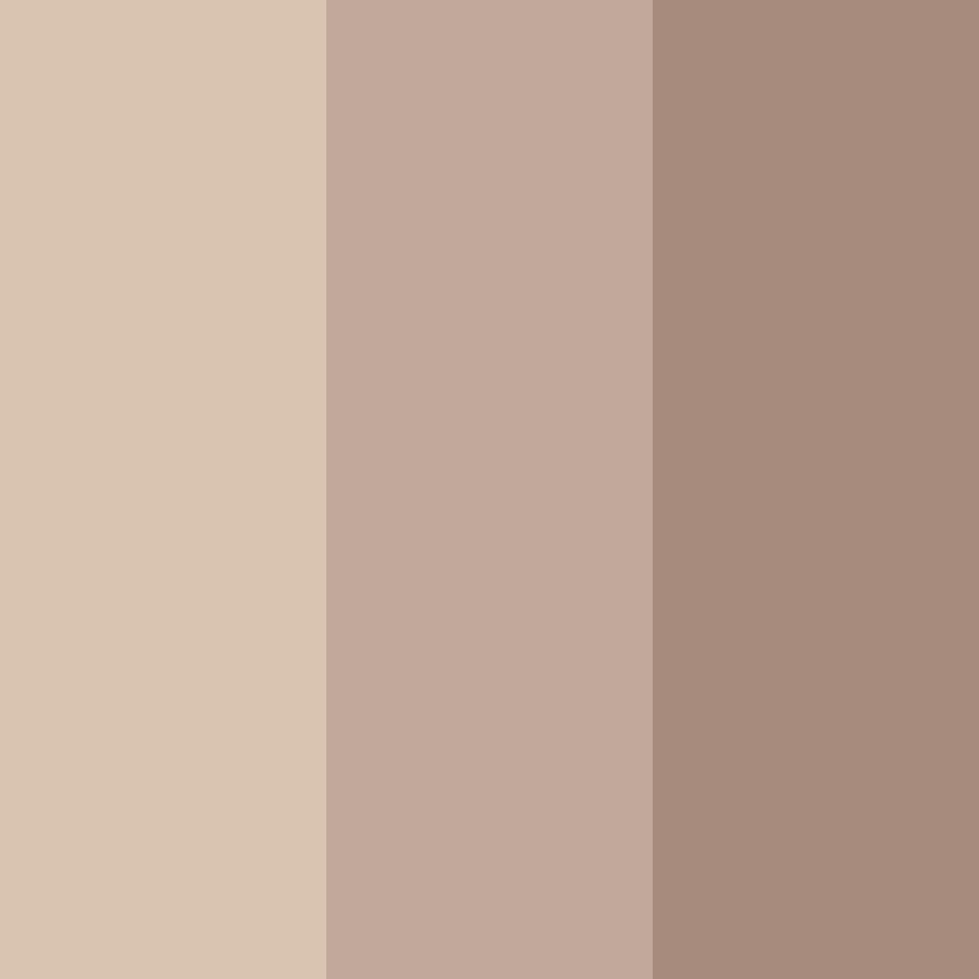 Download terracotta whisper color palette PNG image (square)