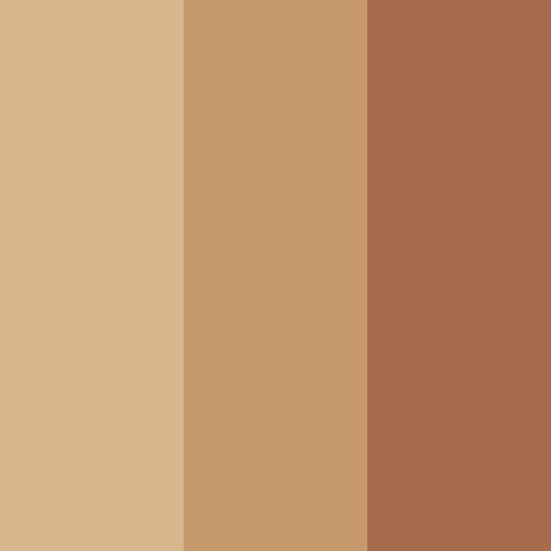 Download warm caramel brown color palette PNG image (square)