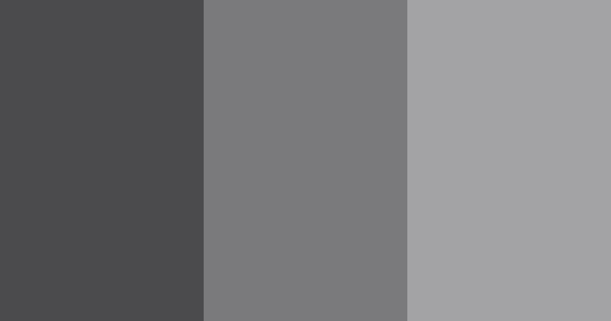 Download midnight elegance color palette PNG image (landscape)