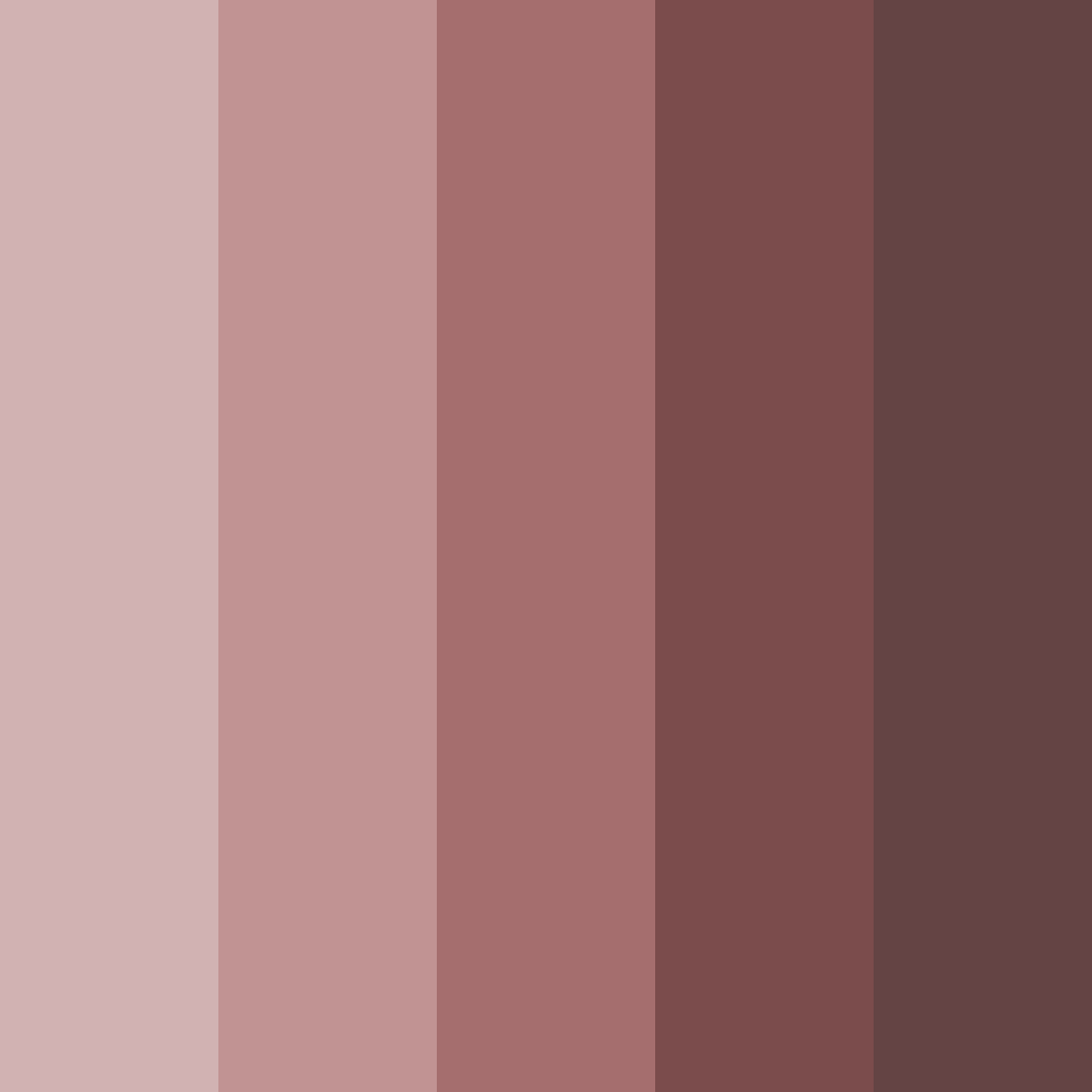 Download rustic rosewood color palette PNG image (square)