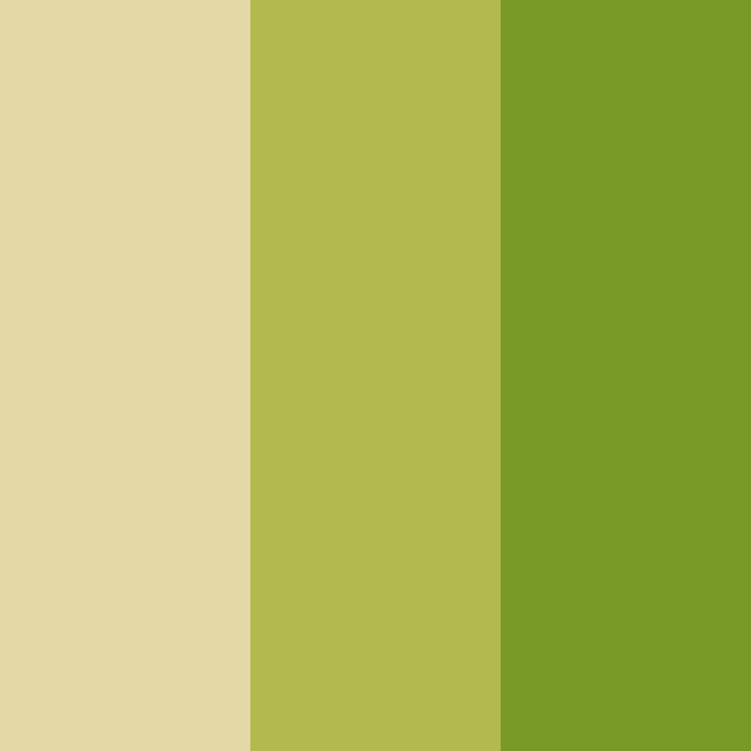 Download verdant elegance color palette PNG image (square)