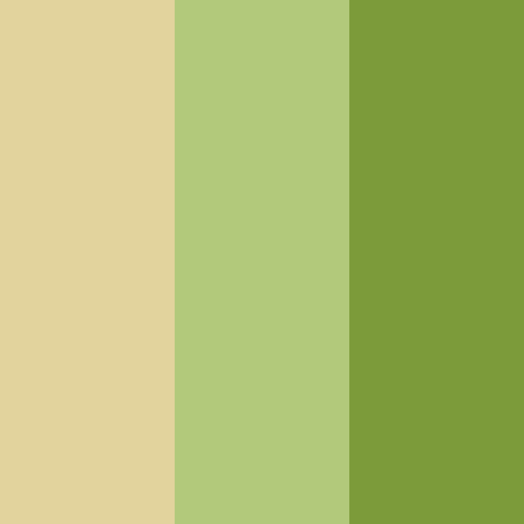 Download green gold creamy color palette PNG image (square)