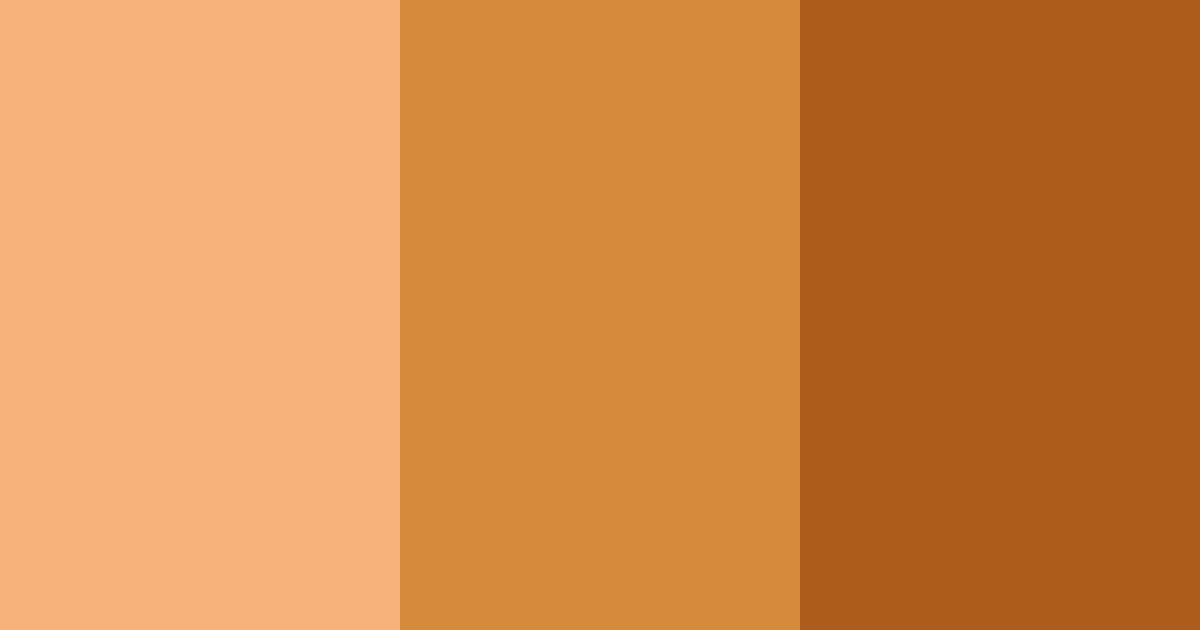 Download burnt orange color palette PNG image (landscape)