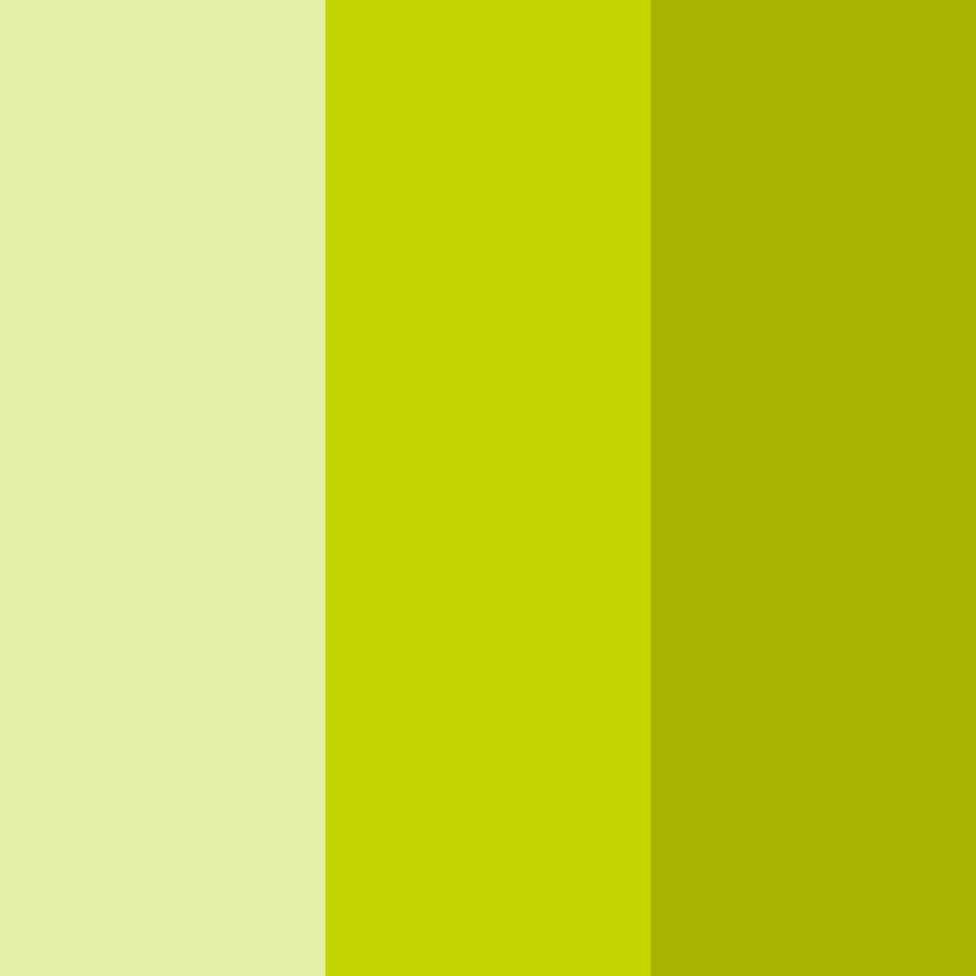 Download zesty citrus burst color palette PNG image (square)