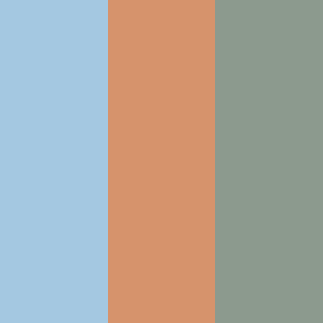 Download mist and rust harmony color palette PNG image (square)