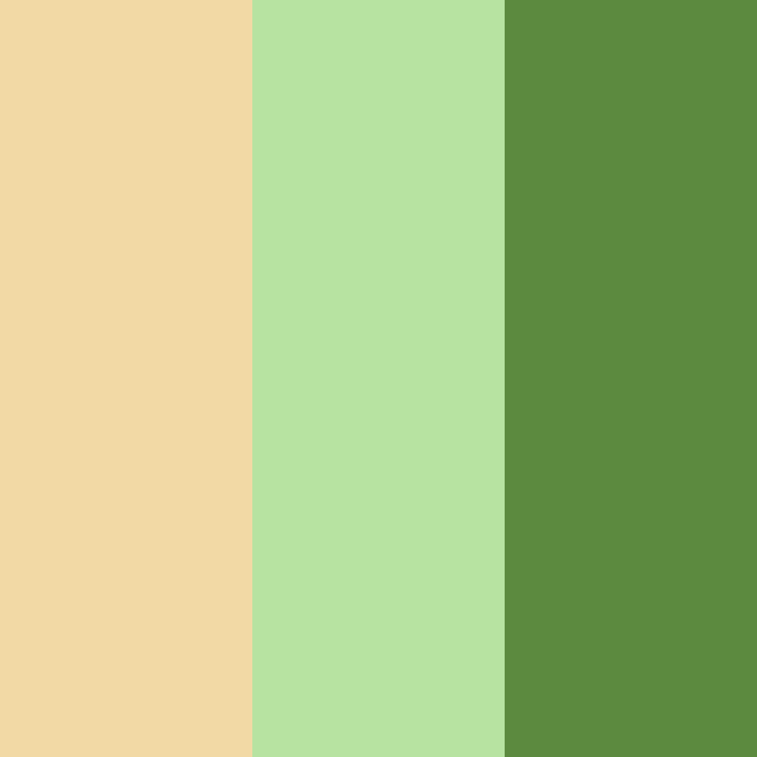 Download warm green color palette PNG image (square)