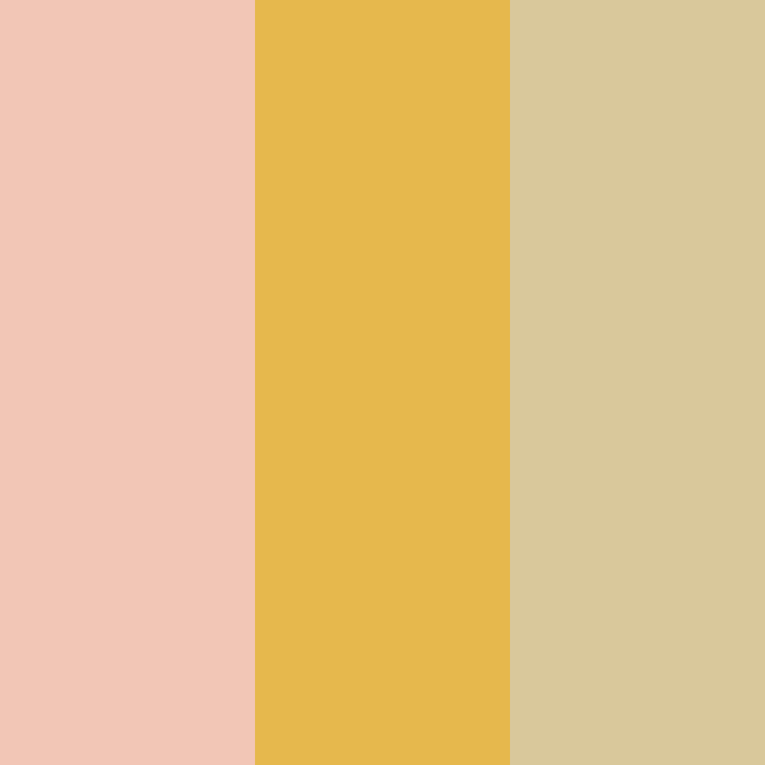 Download soft rose color palette PNG image (square)