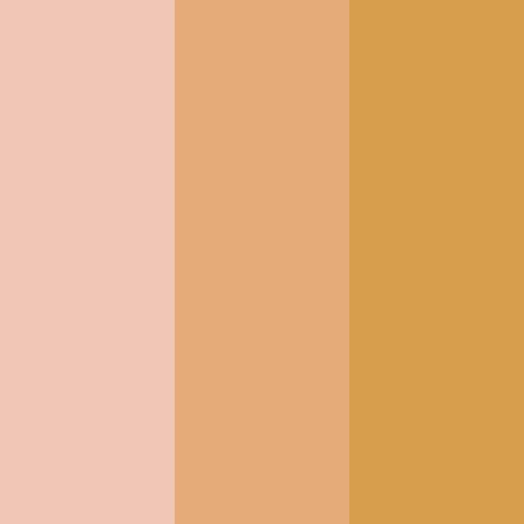 Download sunset blush color palette PNG image (square)
