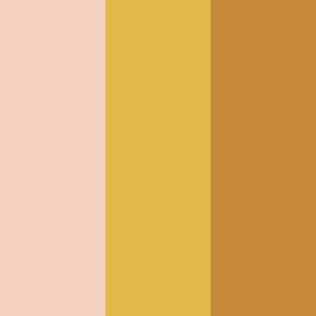 Download rusty pink color palette PNG image (square)