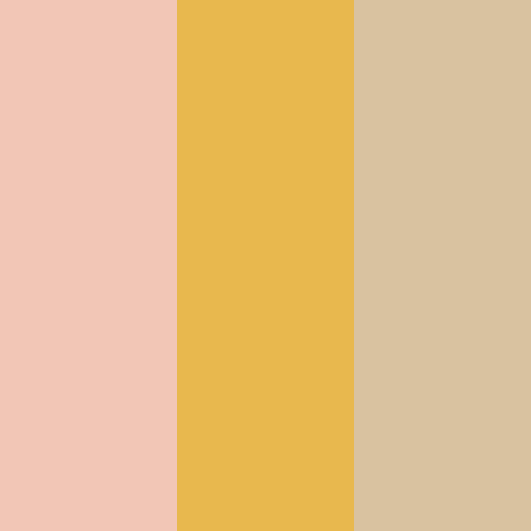 Download sunset blush color palette PNG image (square)