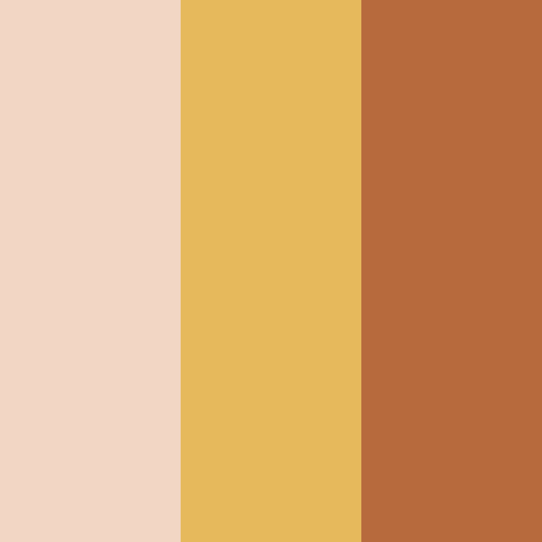 Download soft peach color palette PNG image (square)