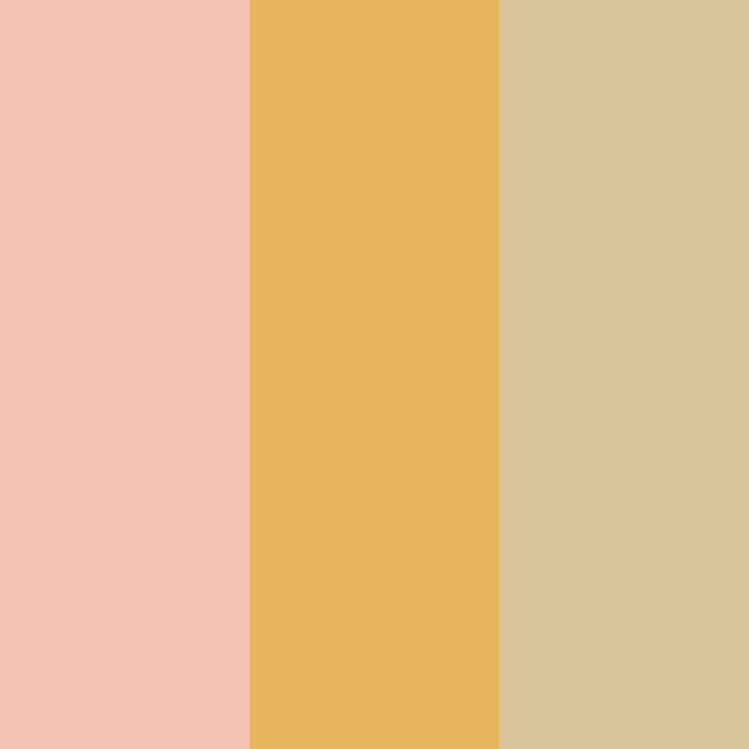 Download peachy cream color palette PNG image (square)