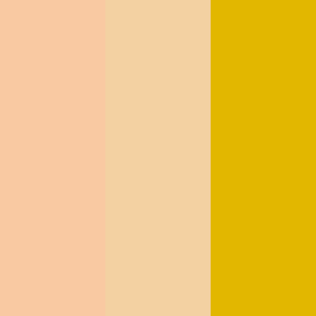 Download peachy gold color palette PNG image (square)