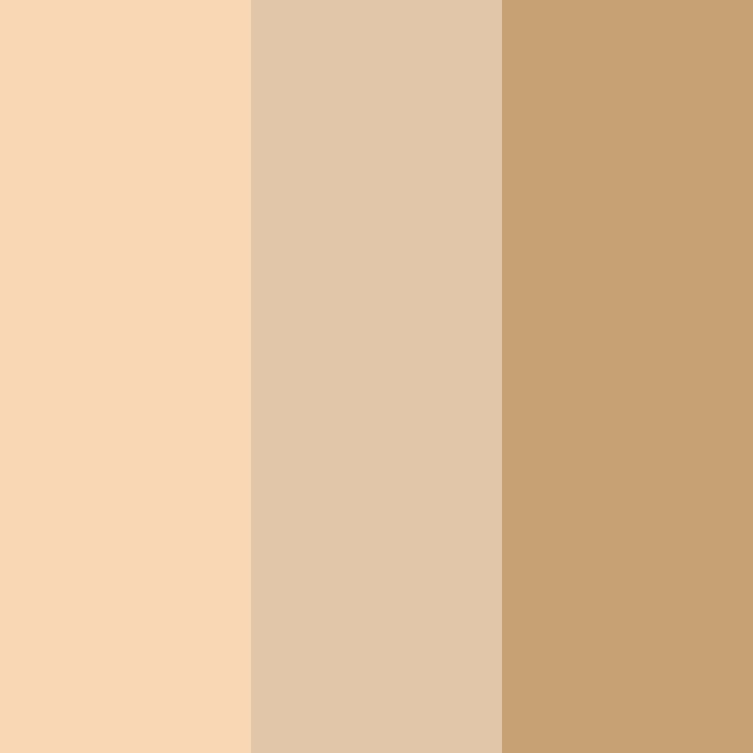 Download peachy cream color palette PNG image (square)
