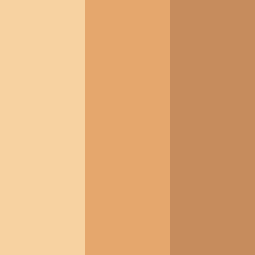 Download peachy cream color palette PNG image (square)