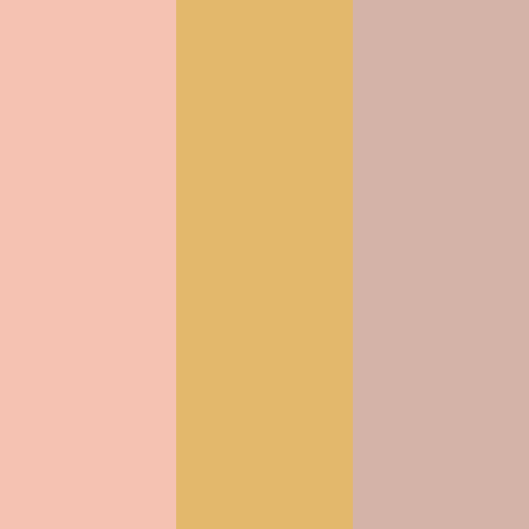 Download sunset blossom color palette PNG image (square)