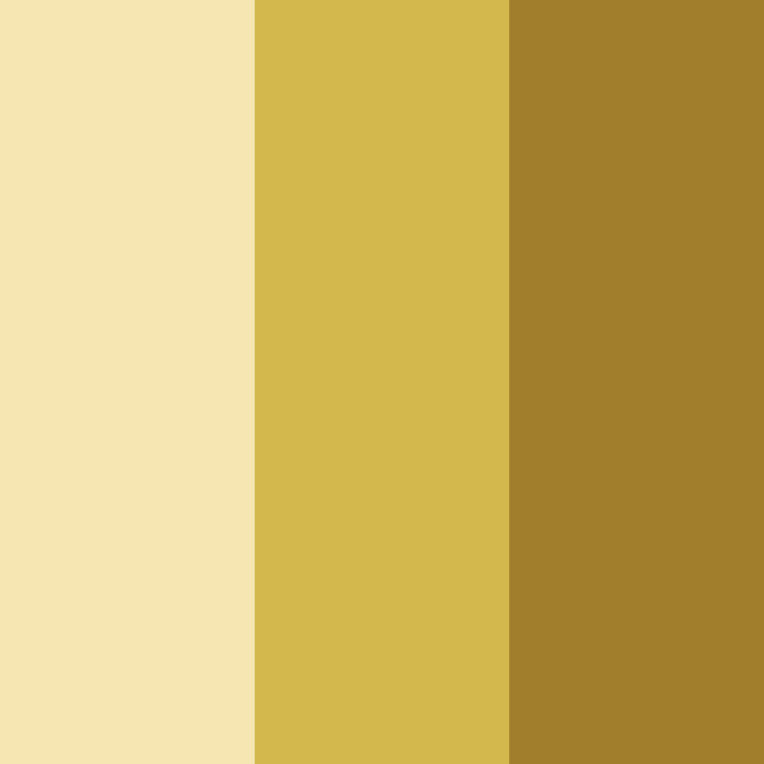 Download golden elegance color palette PNG image (square)