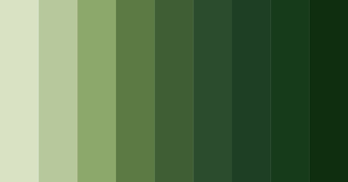 Download forest earthstone color palette PNG image (landscape)