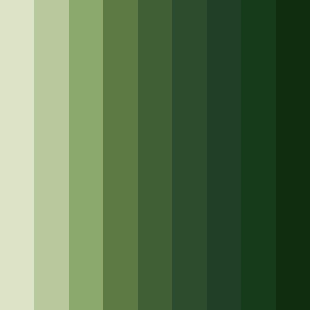 Download forest earthstone color palette PNG image (square)