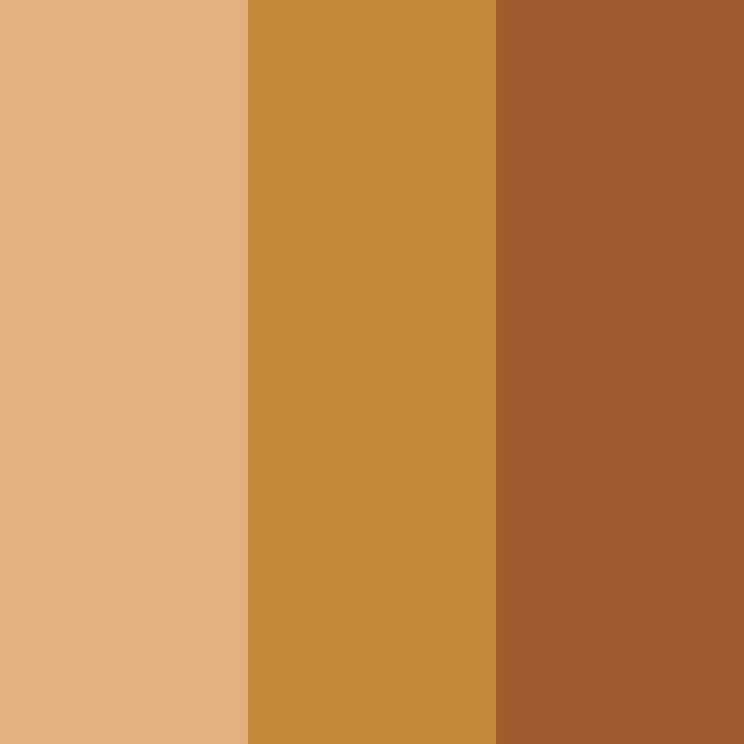 Download cinnamon sunset color palette PNG image (square)