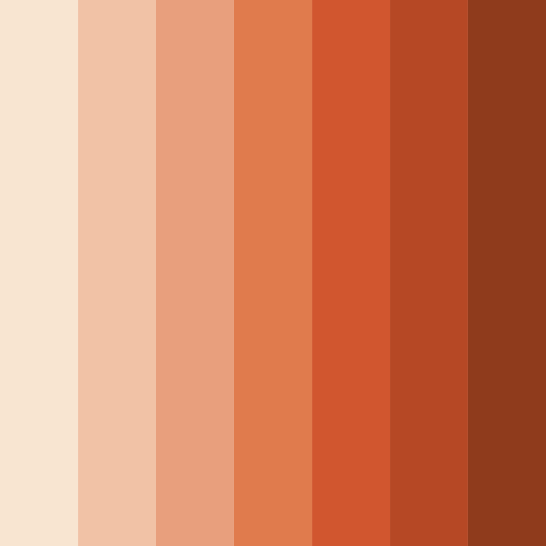 Download sunset whisper color palette PNG image (square)