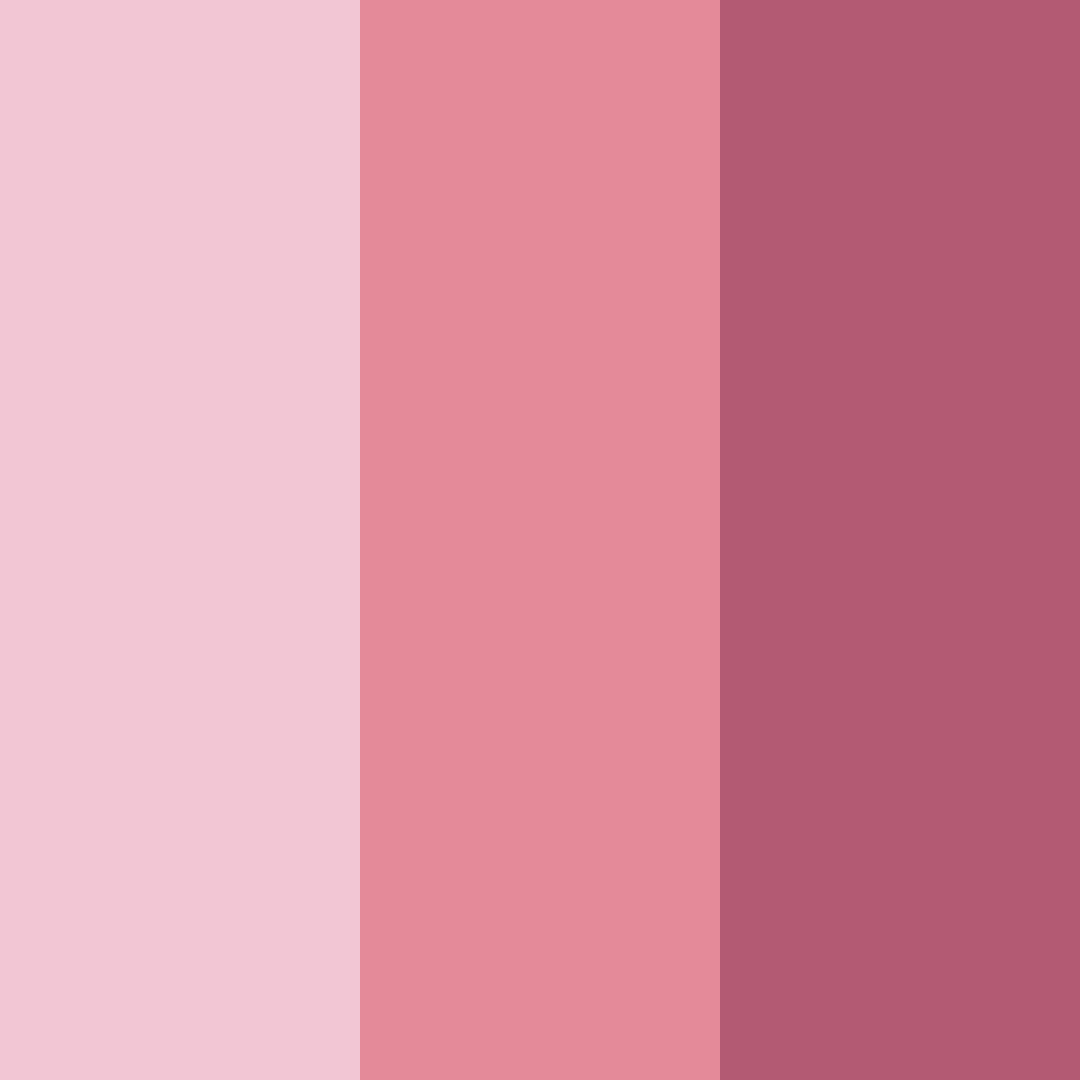 Download dusty pink shades color palette PNG image (square)