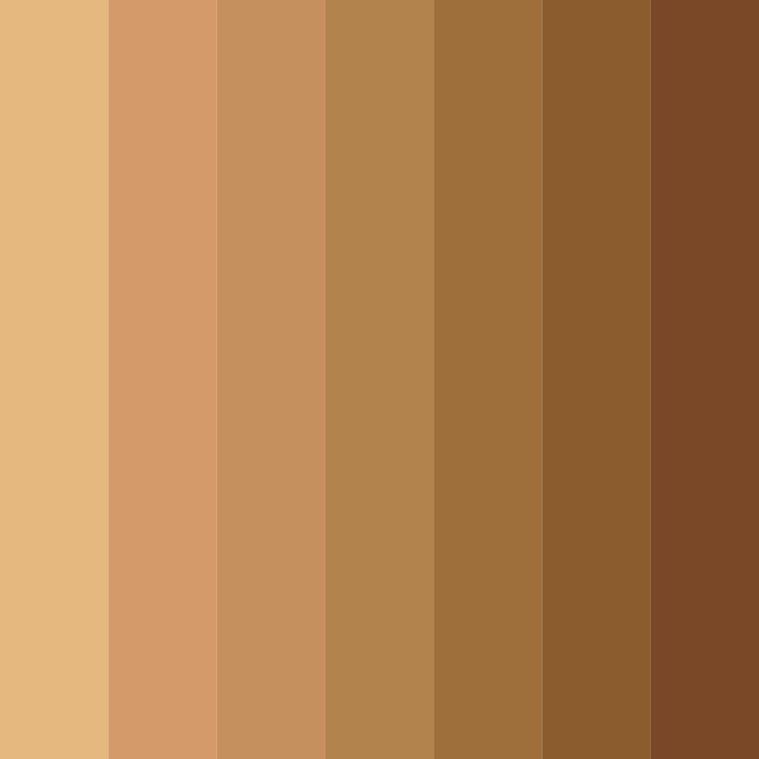 Download earthy nut medley color palette PNG image (square)