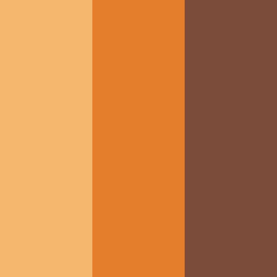 Download earthy orange color palette PNG image (square)