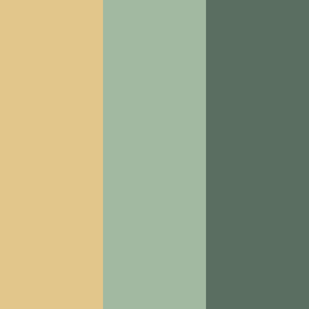 Download amber sage cream color palette PNG image (square)