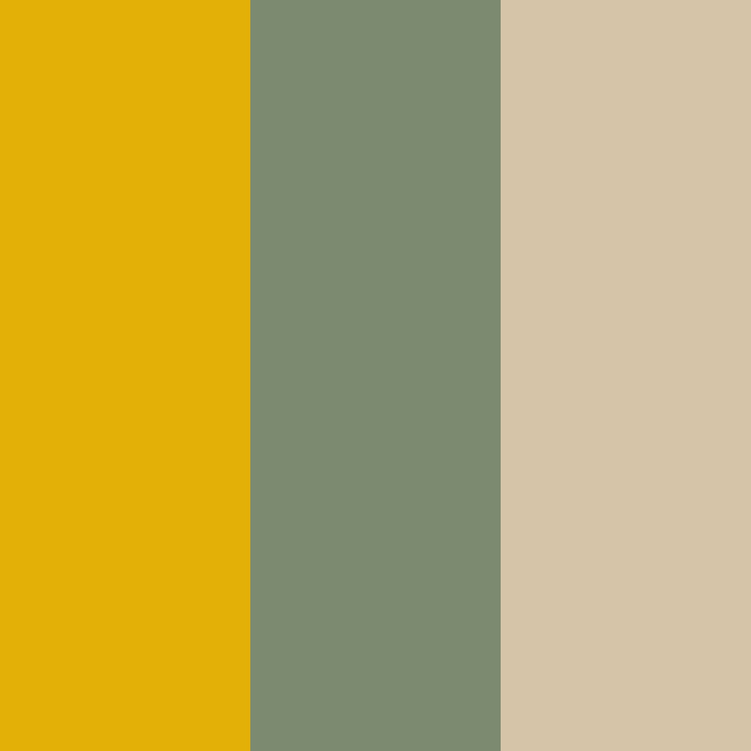 Download amber sage cream color palette PNG image (square)