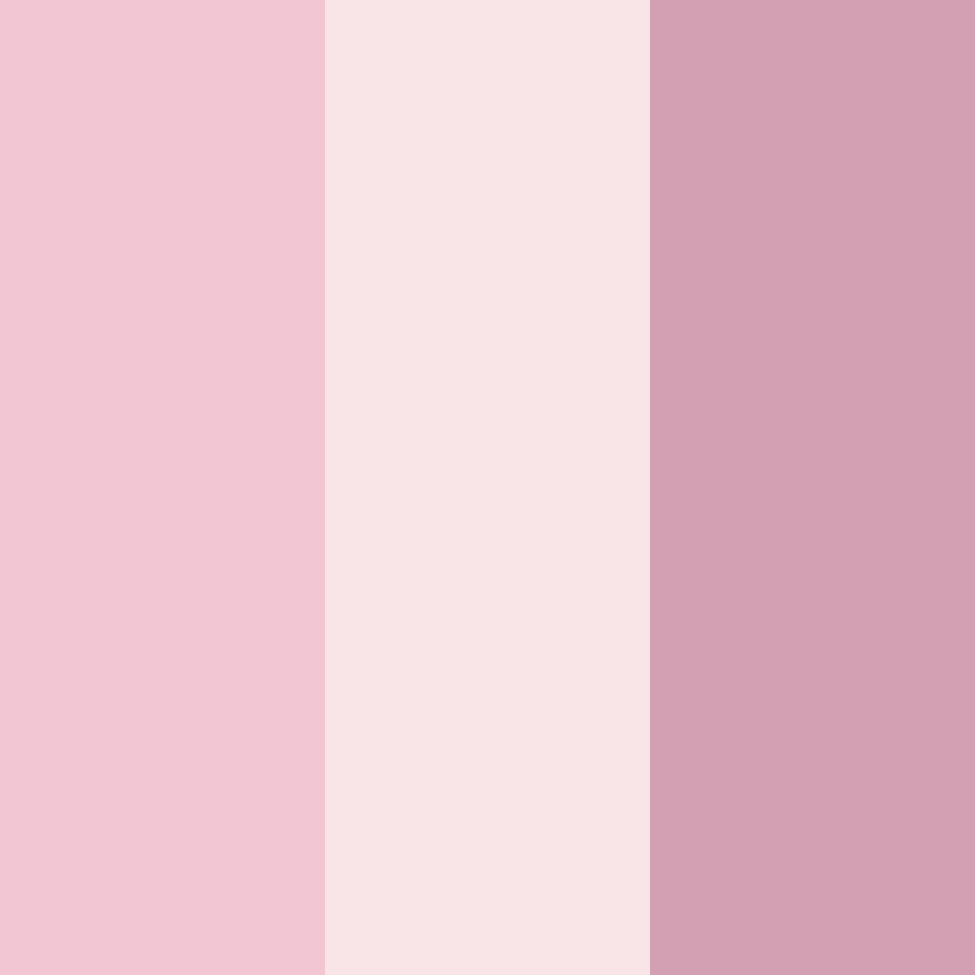 Download pink blossom color palette PNG image (square)