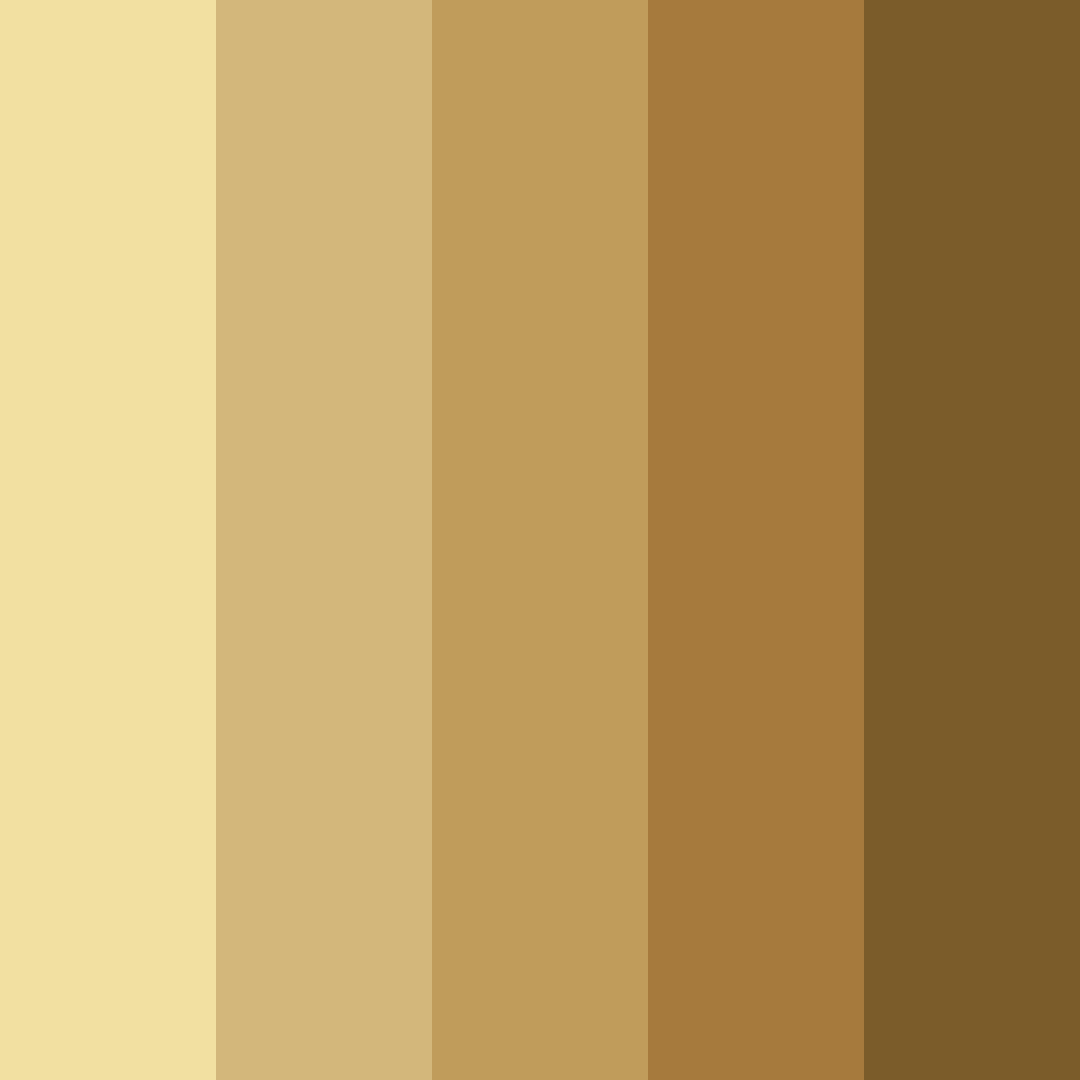Download sunlit caramel dreams color palette PNG image (square)