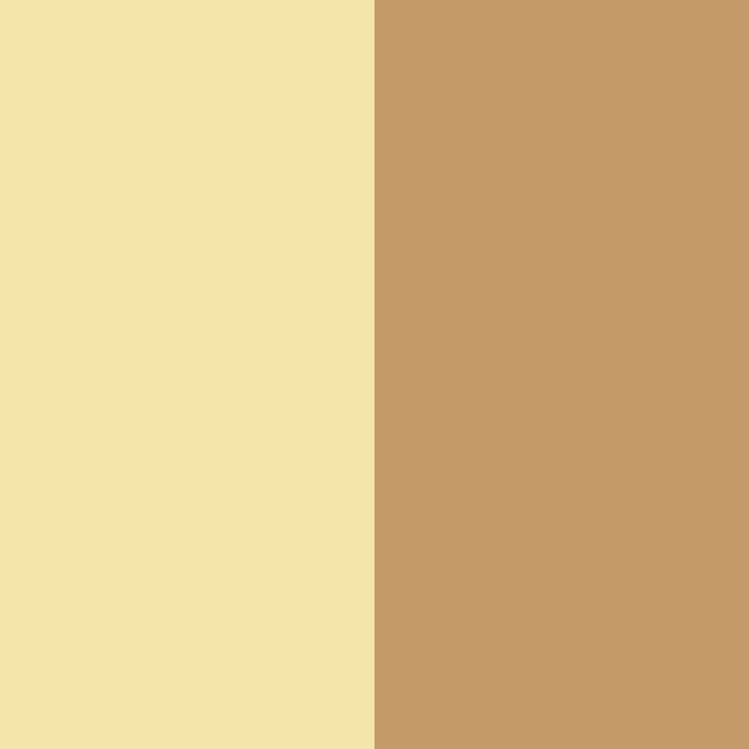 Download creamy cinnamon color palette PNG image (square)