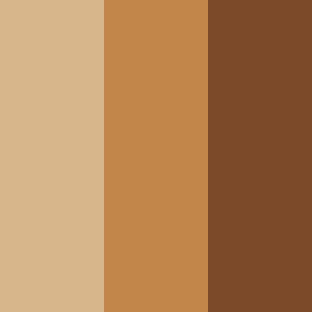 Download brown sunset color palette PNG image (square)