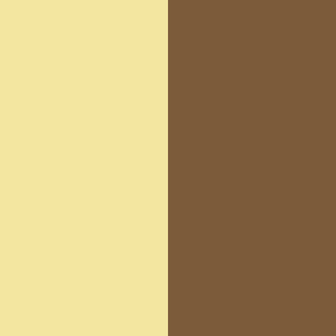 Download brown and yellow harmony color palette PNG image (square)